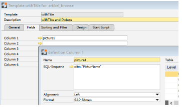 templatefieldpicture