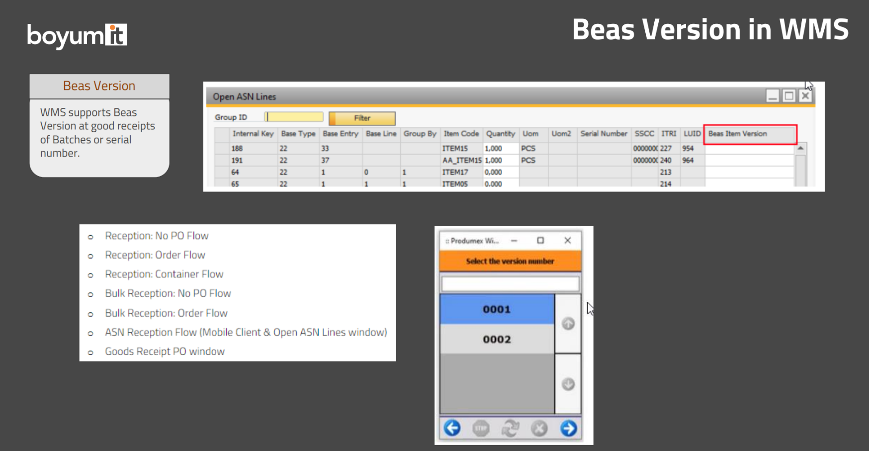 WMS_support_Beas_I-version
